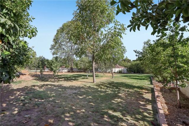 1184 Lyndhurst, Riverside, CA 92507