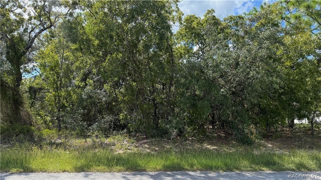 41 Lupine Street, Homosassa, FL 34446