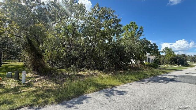41 Lupine Street, Homosassa, FL 34446