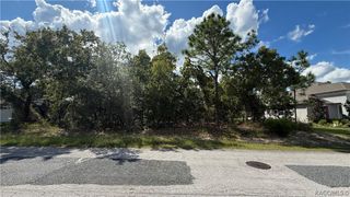 41 Lupine Street, Homosassa, FL 34446