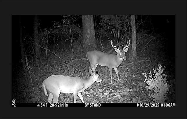 1280 Ragan Road, Douglasville, GA 30134