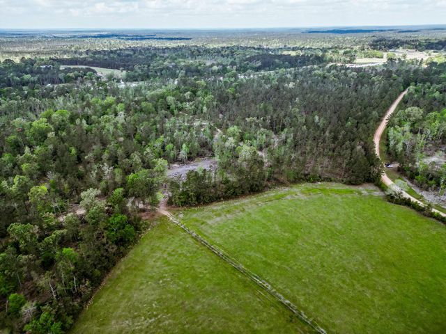 TBA Vick Spring Road, New Waverly, TX 77358