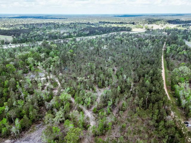 TBA Vick Spring Road, New Waverly, TX 77358