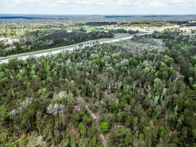 TBA Vick Spring Road, New Waverly, TX 77358