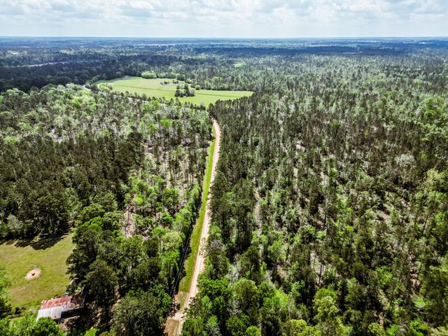 TBA Vick Spring Road, New Waverly, TX 77358