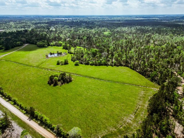 TBA Vick Spring Road, New Waverly, TX 77358