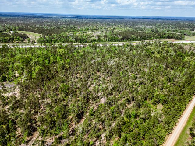 TBA Vick Spring Road, New Waverly, TX 77358
