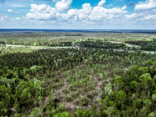 TBA Vick Spring Road, New Waverly, TX 77358