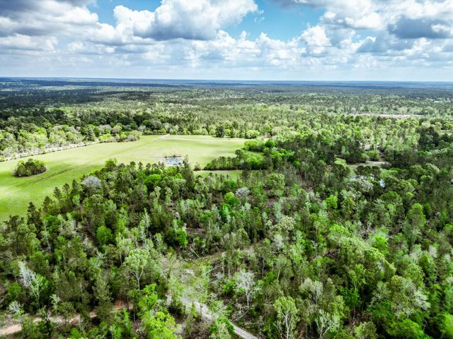 TBA Vick Spring Road, New Waverly, TX 77358
