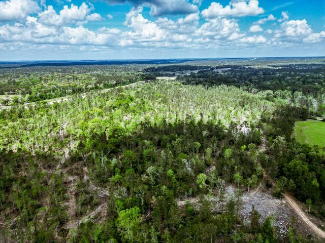 TBA Vick Spring Road, New Waverly, TX 77358