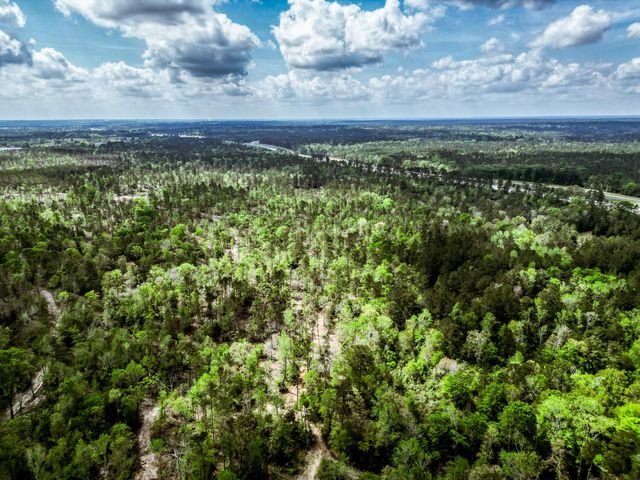 TBA Vick Spring Road, New Waverly, TX 77358