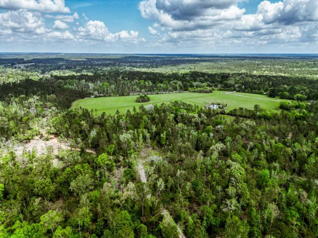 TBA Vick Spring Road, New Waverly, TX 77358