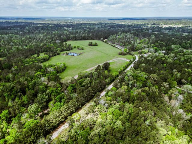 TBA Vick Spring Road, New Waverly, TX 77358
