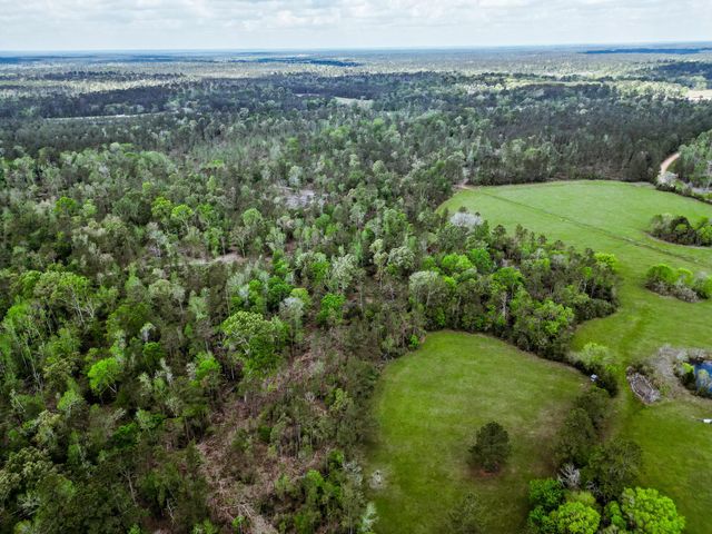 TBA Vick Spring Road, New Waverly, TX 77358
