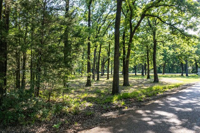 104 Lark Drive, Enchanted Oaks, TX 75156
