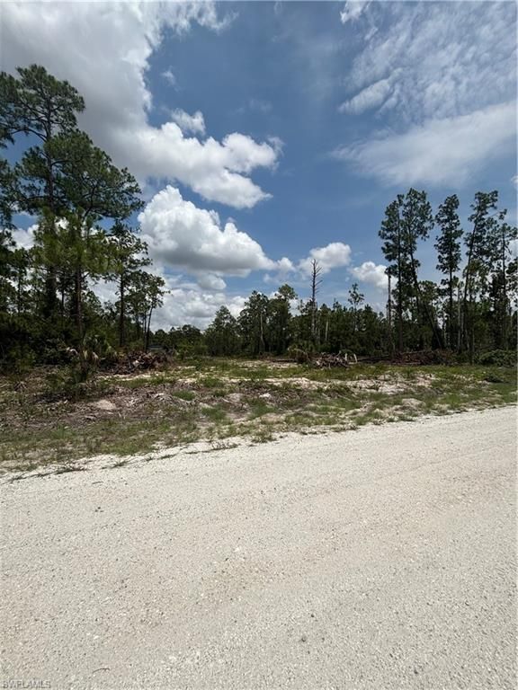 1122 Johns AVE, LEHIGH ACRES, FL 33972 — photo 4