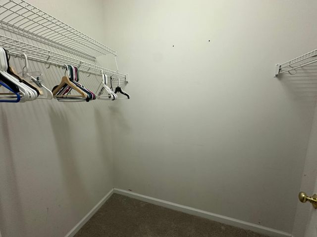 8251 Hempshire Place Apt 104, Raleigh, NC 27613