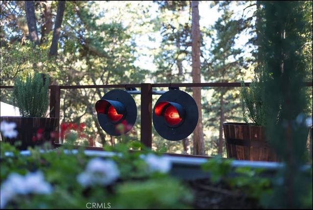 21875 Sawpit Canyon Road, Cedarpines Park, CA 92322