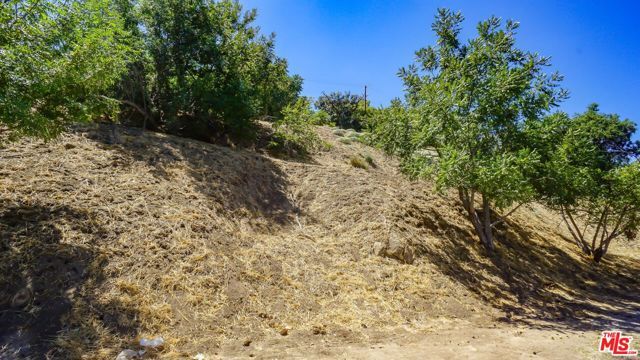 452 Beech Street, Los Angeles, CA 90065