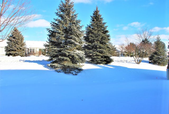 12392 Wedgemere Drive, Huntley, IL 60142