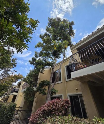 3151 Via Alicante 122, La Jolla, CA 92037