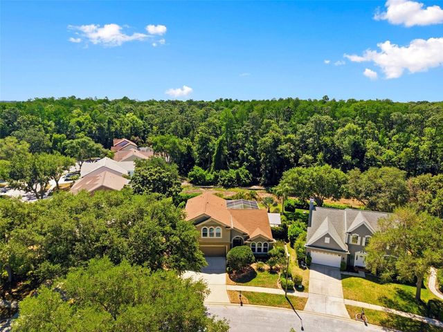 4356 ELLINWOOD BOULEVARD, Palm Harbor, FL 34685
