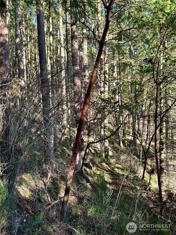 55 Vancouver Place, Port Townsend, WA 98368