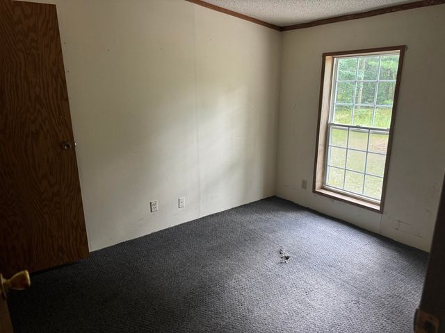 8570 S Bagnall Avenue, Pleasant Plains Twp, MI 49304