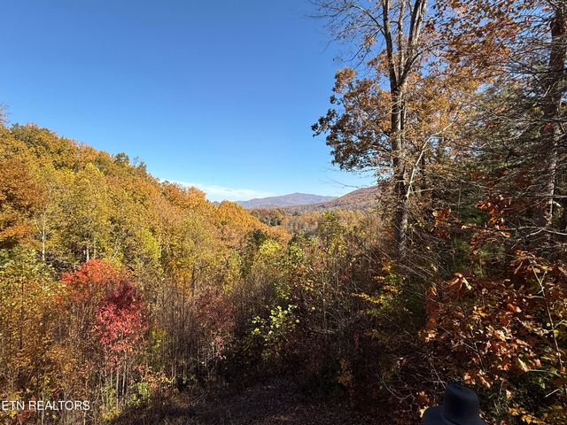 414 Gold Rd. Rd, Cosby, TN 37722