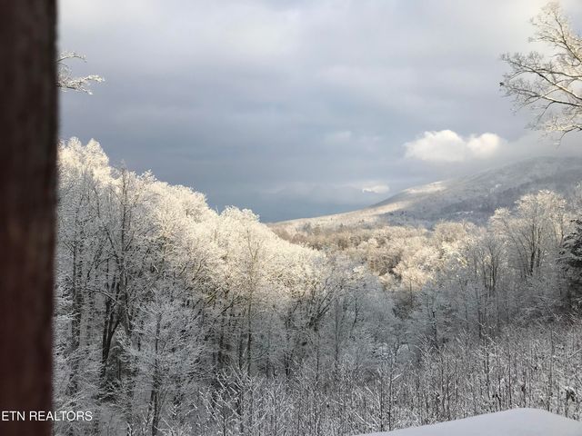 414 Gold Rd. Rd, Cosby, TN 37722