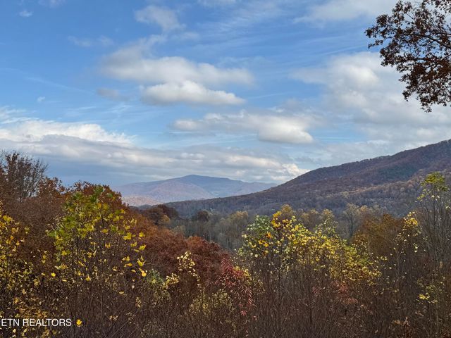 414 Gold Rd. Rd, Cosby, TN 37722