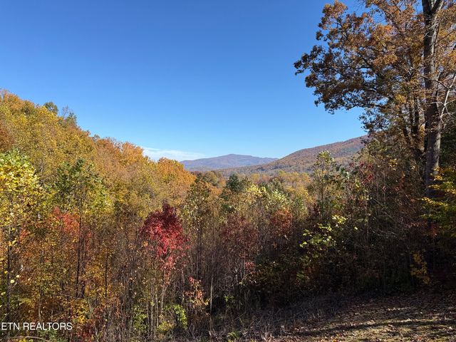 414 Gold Rd. Rd, Cosby, TN 37722