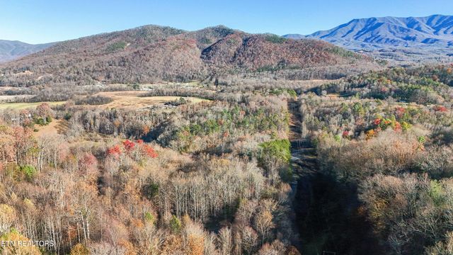 414 Gold Rd. Rd, Cosby, TN 37722