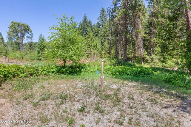 784 Twin Rivers Road, Athol, ID 83801