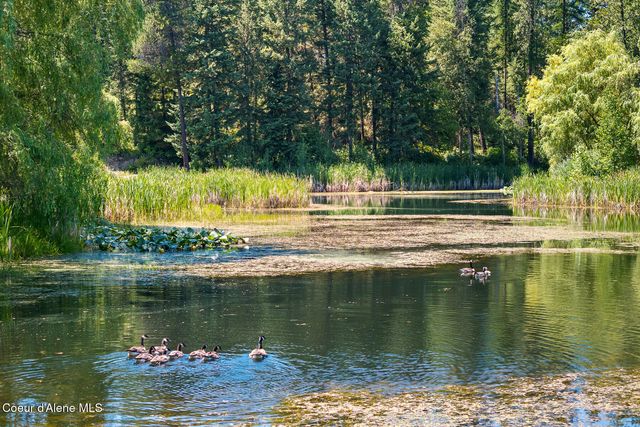 784 Twin Rivers Road, Athol, ID 83801