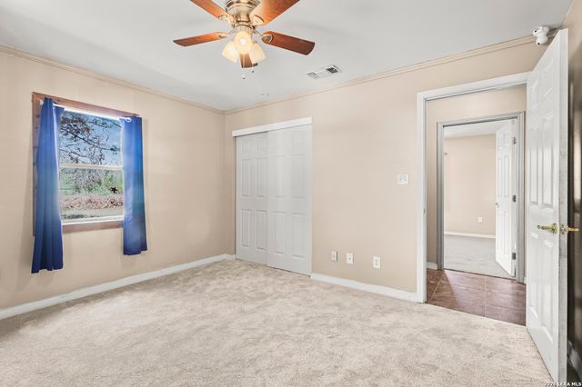 146 Exotic, Bandera, TX 78003