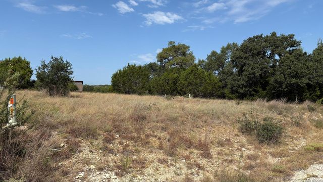 106 Lewis Todd, Blanco, TX 78606