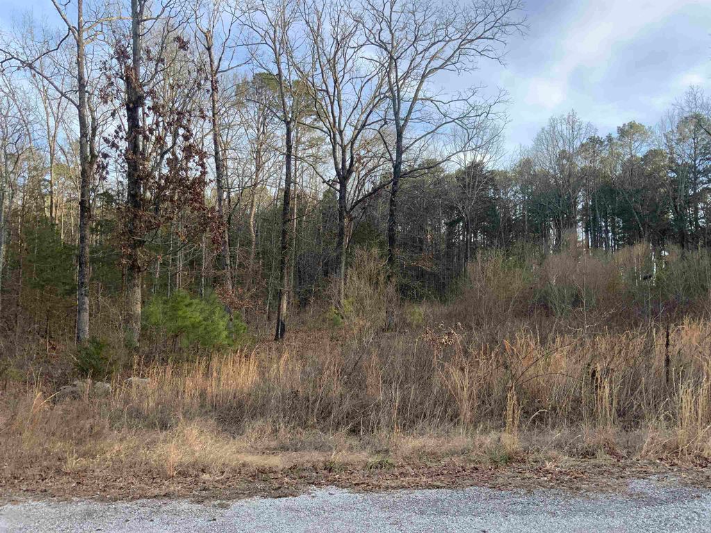 000 Red Fox, Greers Ferry, AR 72067