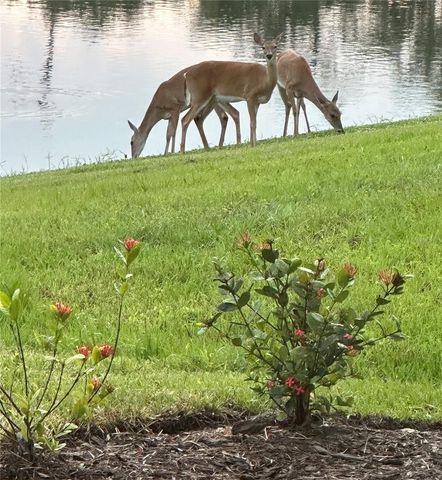 10253 CANAVERAL CIRCLE, Sarasota, FL 34241