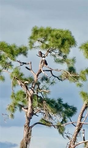 10253 CANAVERAL CIRCLE, Sarasota, FL 34241