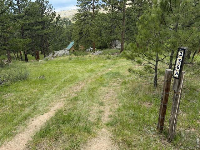 2365 Storm Mountain Drive, Drake, CO 80515