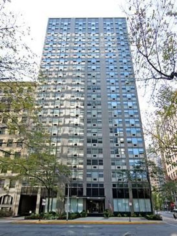 253 E Delaware Place 8A, Chicago, IL 60611 — exterior
