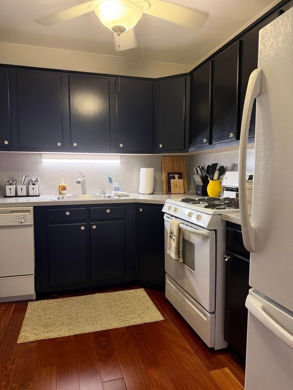 253 E Delaware Place 8A, Chicago, IL 60611 — photo 5
