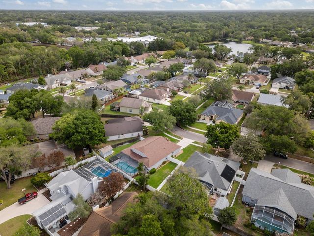 3617 TREELINE DRIVE, Valrico, FL 33596
