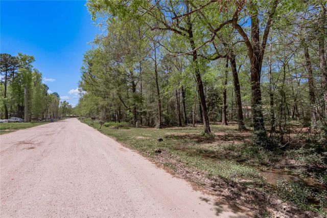 TBD Meridian, Livingston, TX 77351