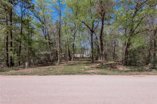 TBD Meridian, Livingston, TX 77351