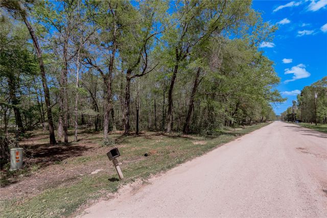 TBD Meridian, Livingston, TX 77351