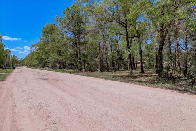 TBD Meridian, Livingston, TX 77351