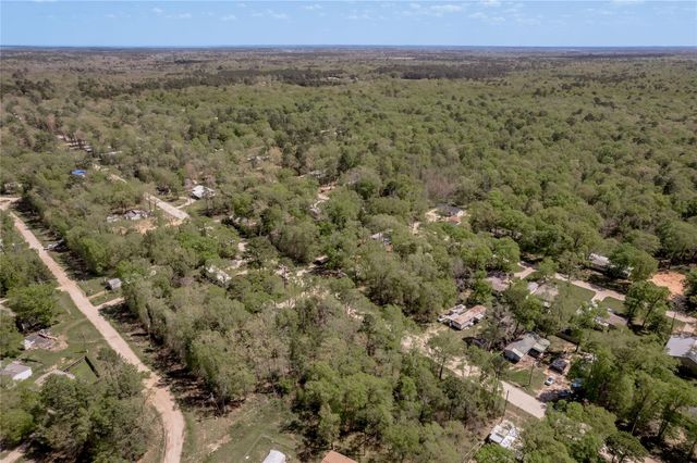 TBD Meridian, Livingston, TX 77351