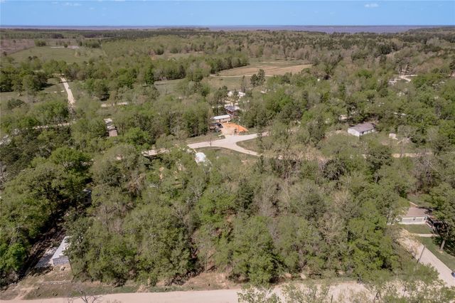 TBD Meridian, Livingston, TX 77351